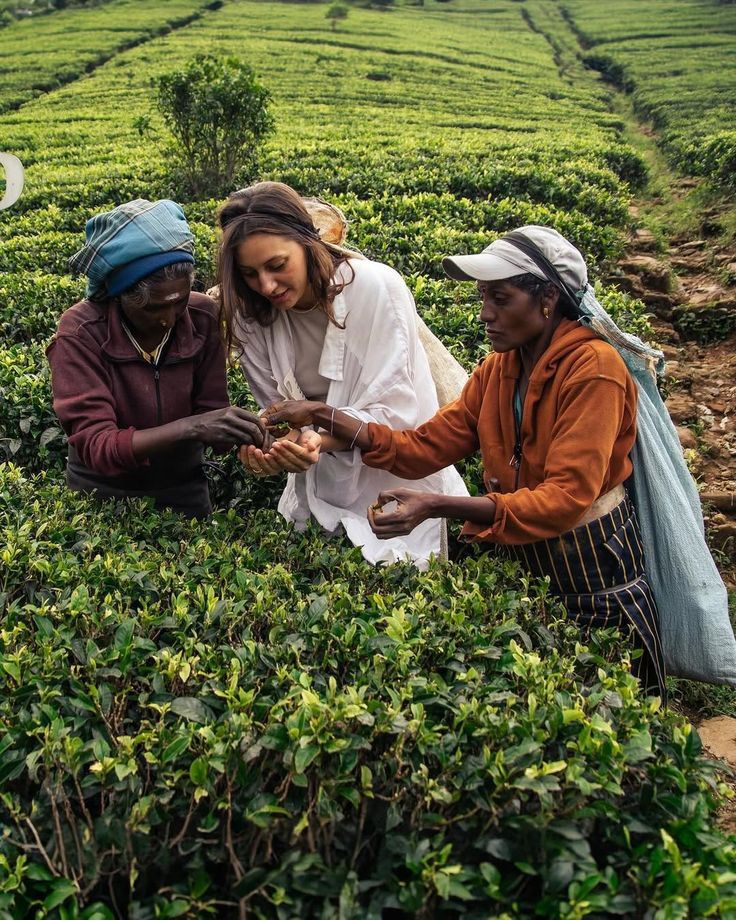 New Local Partnerships Announced